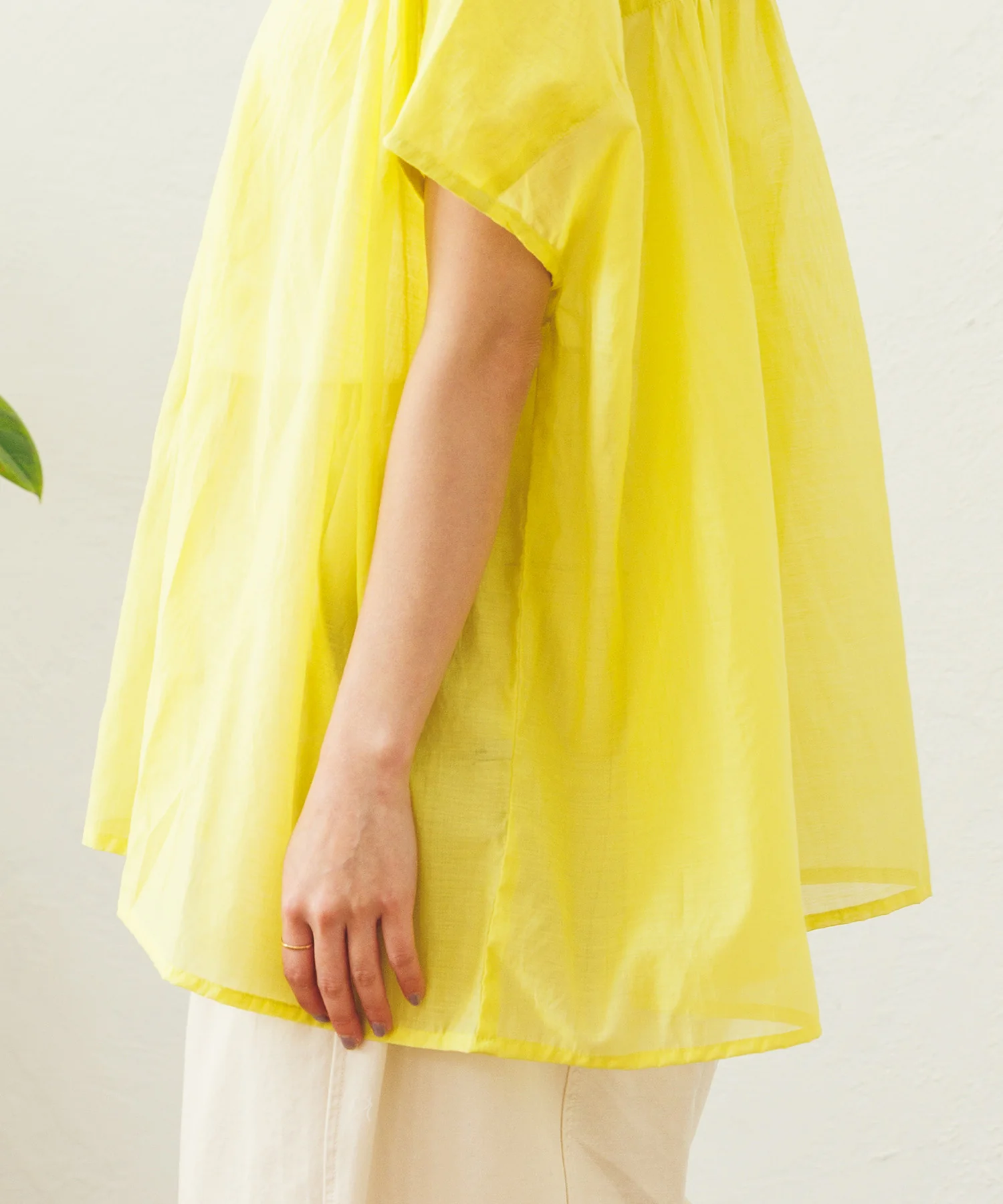 バンドカラー フレンチスリーブブラウス